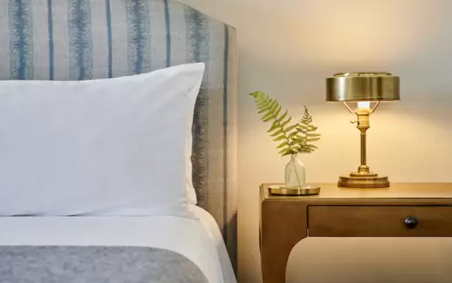 Deluxe King (1 King Bed)